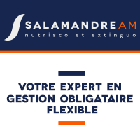 Salamandre AM Salamandre AM