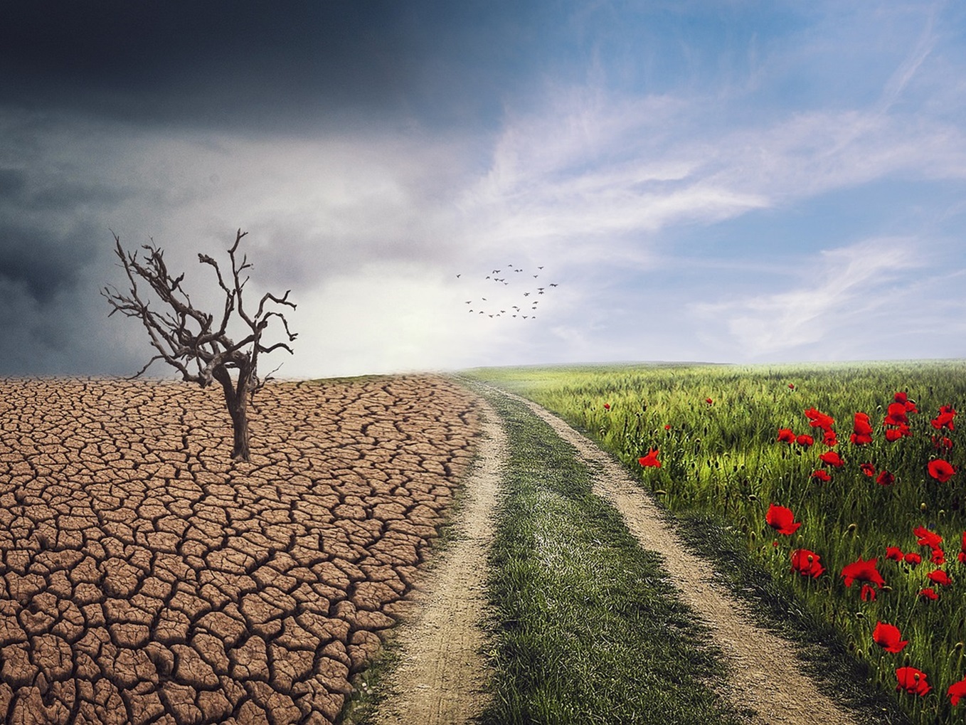 Climat en crise : l’appel à l’action...