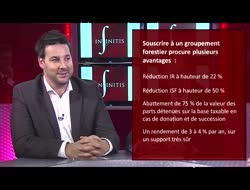 Infinitis présente l'investissement forestier....