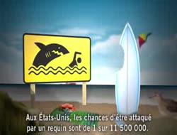 Un grand requin blanc sud-africain en quête d'un tartare de phoque...