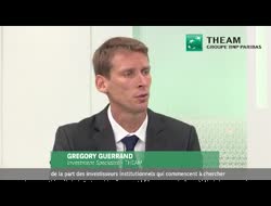 Ce fonds "low carbon" permet de surperformer…