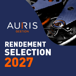 Auris Gestion