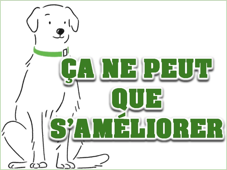 Ce gérant diversifié a alloué 40% de son exposition actions sur un pays auquel on ne pense pas forcément...