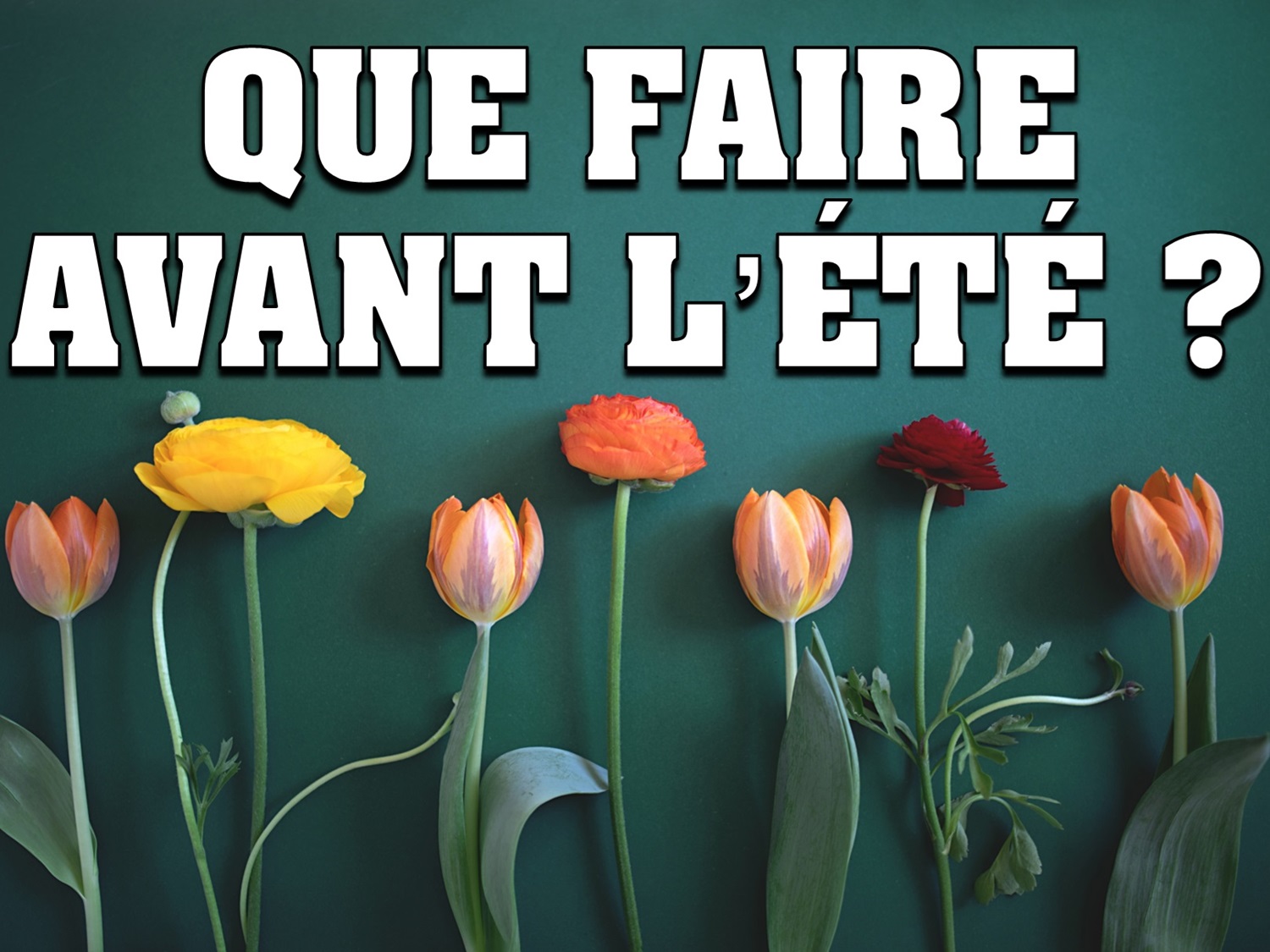 Macro-économie et marchés : dynamiser ou sécuriser ?