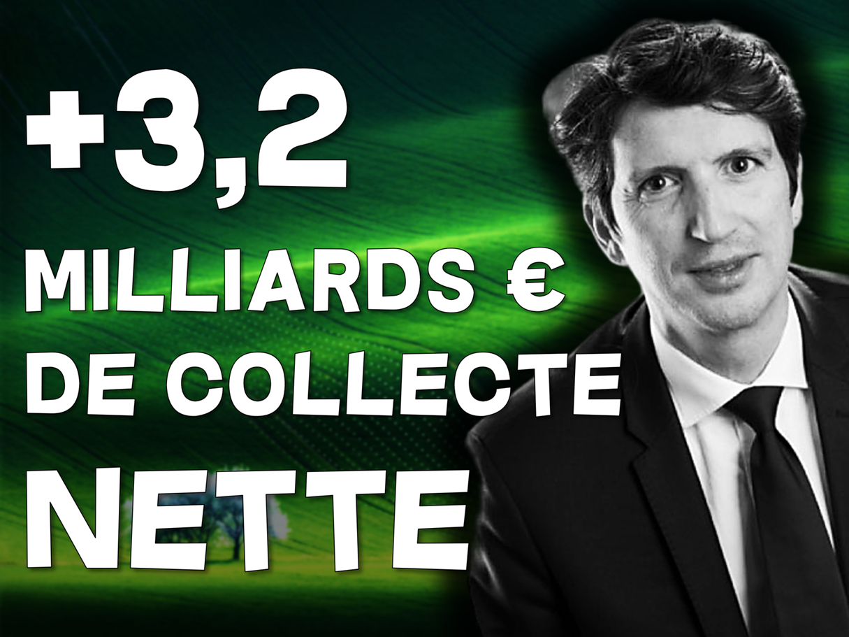 Ils font un super premier semestre malgré un marché peu porteur...