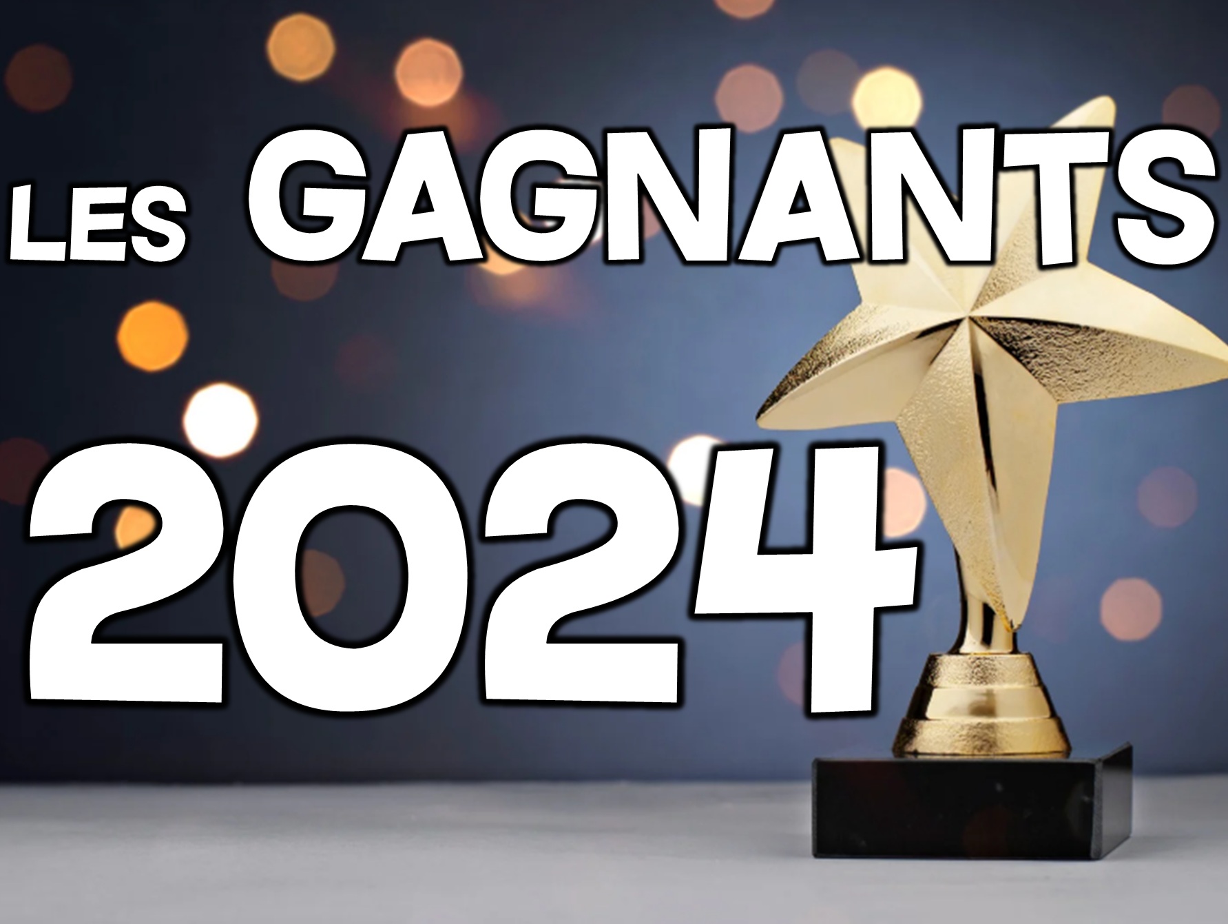 Le portefeuille idéal de 2024 : encore des performances extraordinaires dans une année hors-norme…