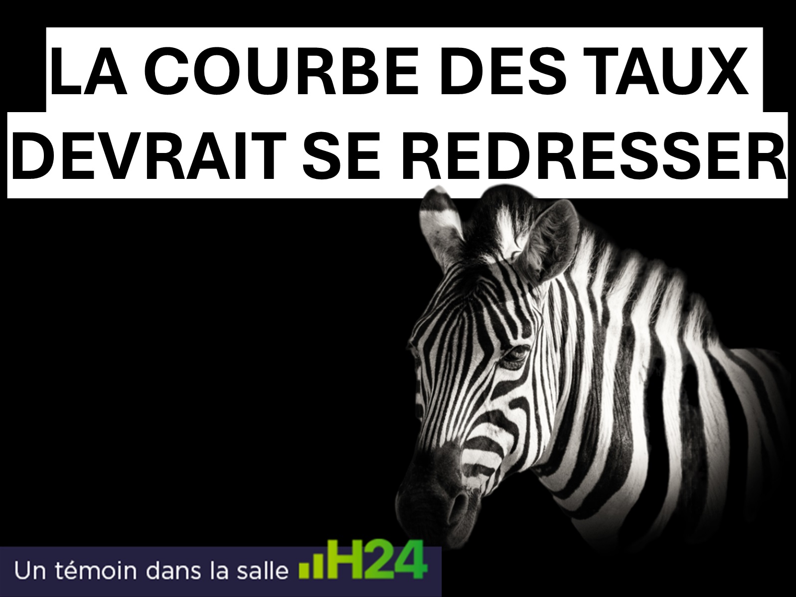Monétaire et obligataire : quels placements dans une perspective de baisse des taux ?